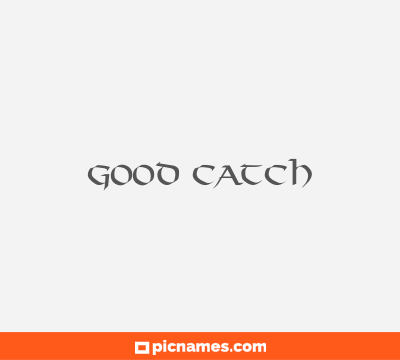 Good Catch